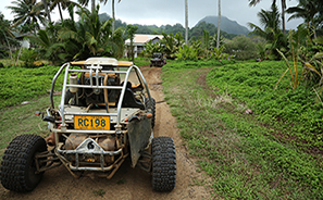 Mud Buggies : Rarotonga  : Business News Photos : Richard Moore : Photographer